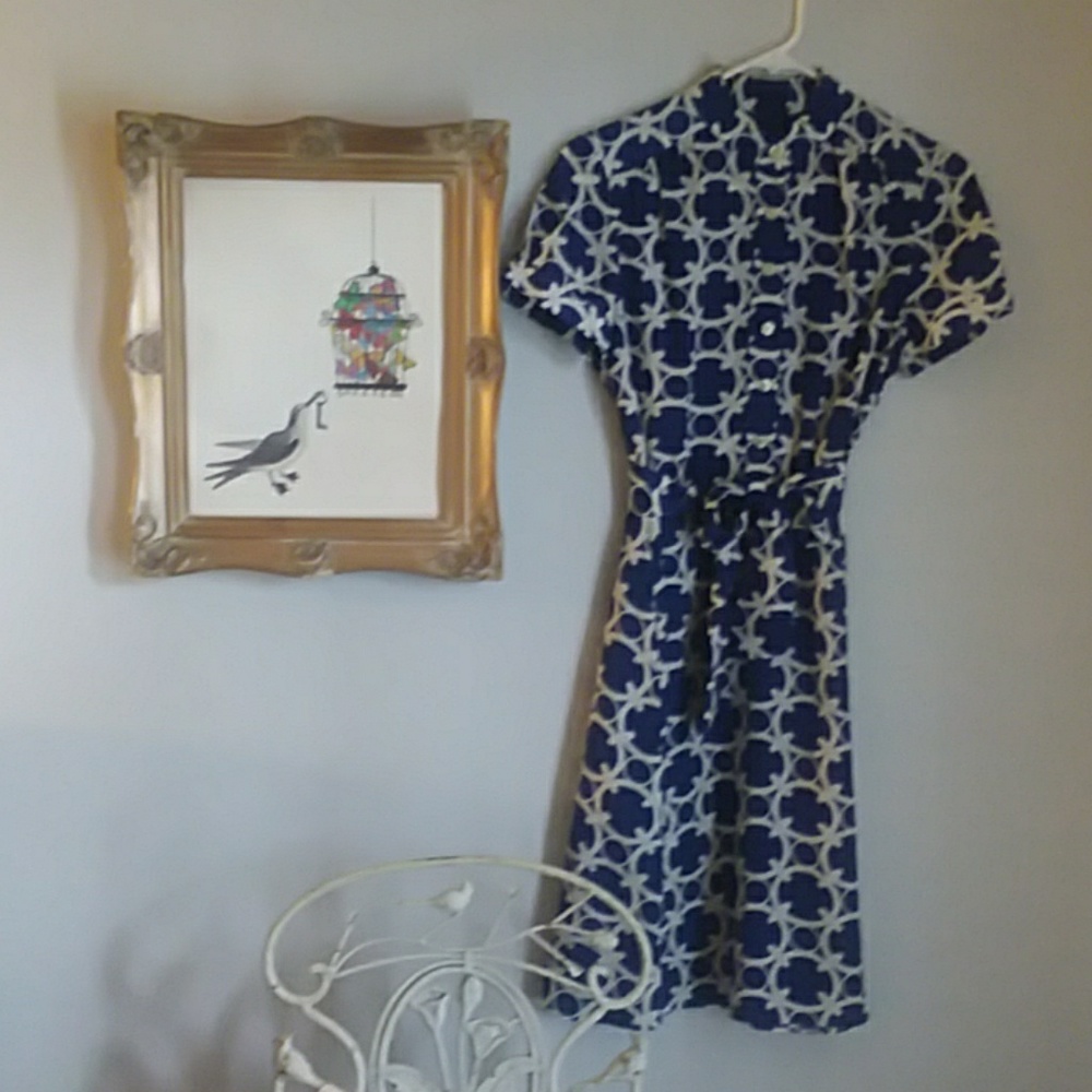 Ann Taylor Dress